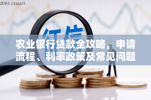九寨沟农业银行贷款全攻略，申请流程、利率政策及常见问题解析