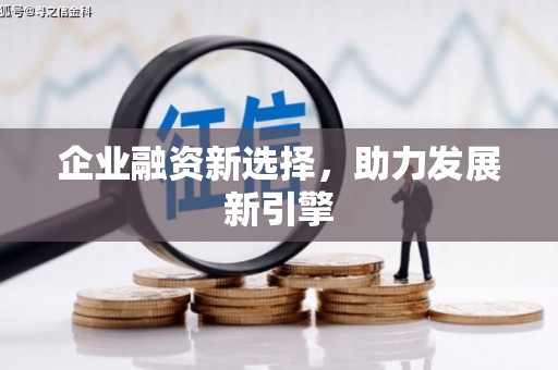 九寨沟企业融资新选择，助力发展新引擎