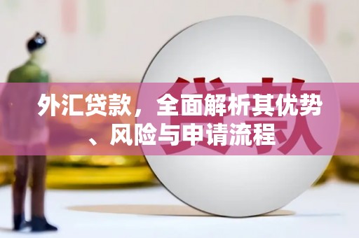 九寨沟外汇贷款，全面解析其优势、风险与申请流程