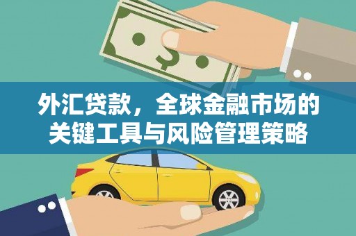 九寨沟外汇贷款，全球金融市场的关键工具与风险管理策略
