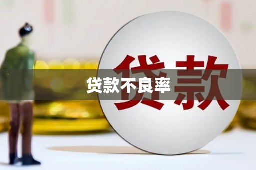 九寨沟贷款不良率