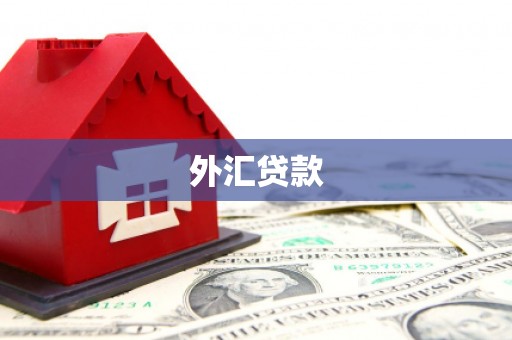 九寨沟外汇贷款