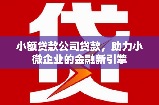 九寨沟小额贷款公司贷款，助力小微企业的金融新引擎