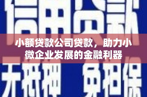 九寨沟小额贷款公司贷款，助力小微企业发展的金融利器
