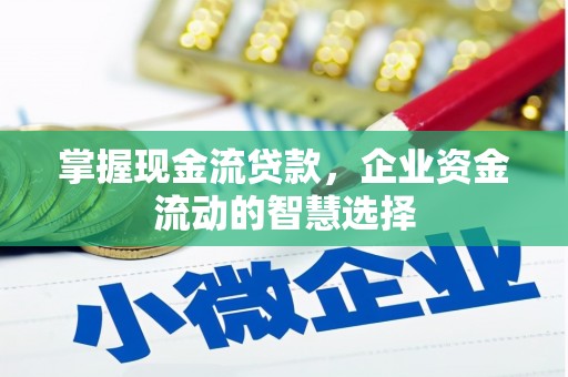 九寨沟掌握现金流贷款，企业资金流动的智慧选择