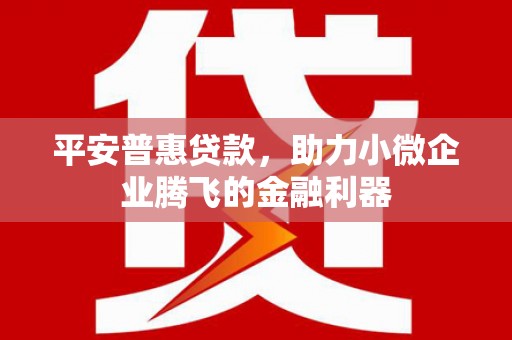 九寨沟平安普惠贷款，助力小微企业腾飞的金融利器
