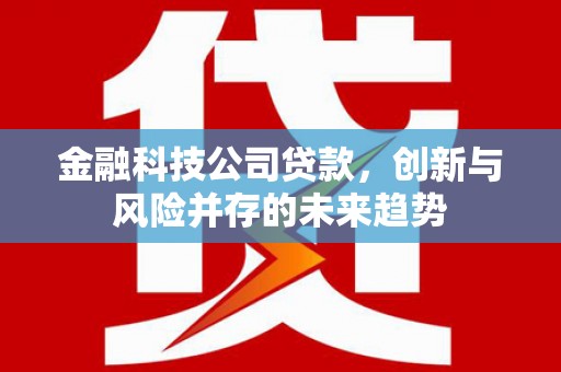 九寨沟金融科技公司贷款，创新与风险并存的未来趋势