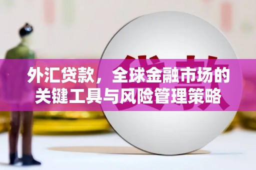 九寨沟外汇贷款，全球金融市场的关键工具与风险管理策略
