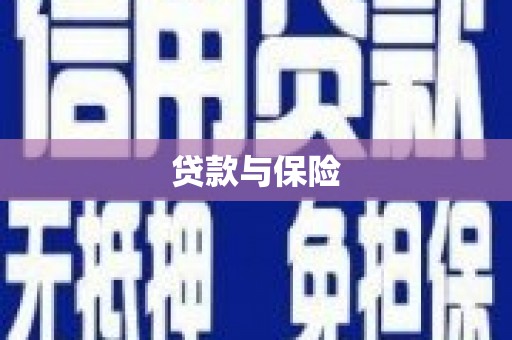 九寨沟贷款与保险