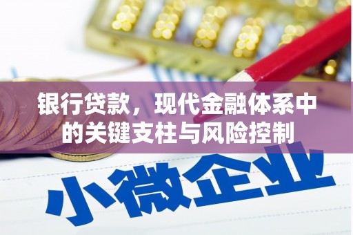 九寨沟银行贷款，现代金融体系中的关键支柱与风险控制