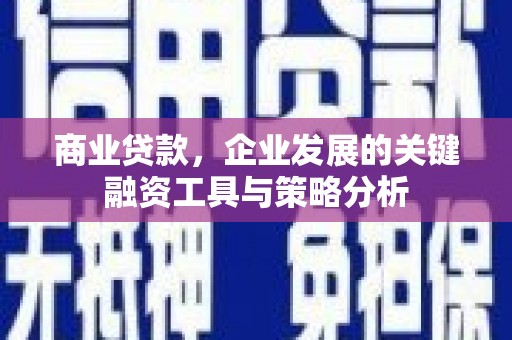九寨沟商业贷款，企业发展的关键融资工具与策略分析