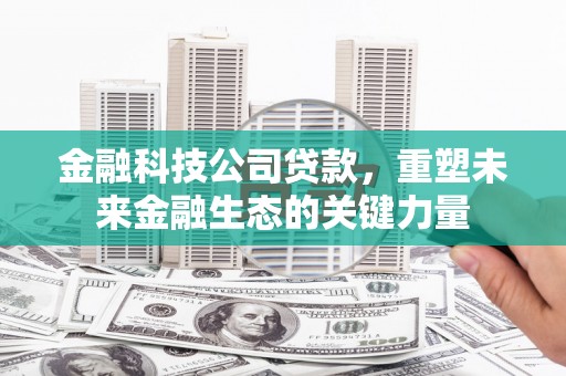 九寨沟金融科技公司贷款，重塑未来金融生态的关键力量