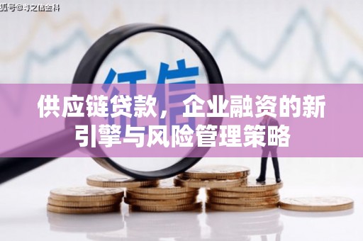 九寨沟供应链贷款，企业融资的新引擎与风险管理策略