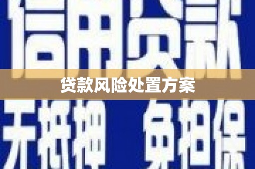 九寨沟贷款风险处置方案