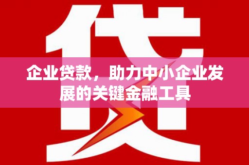 九寨沟企业贷款，助力中小企业发展的关键金融工具