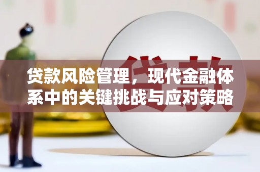 九寨沟贷款风险管理，现代金融体系中的关键挑战与应对策略