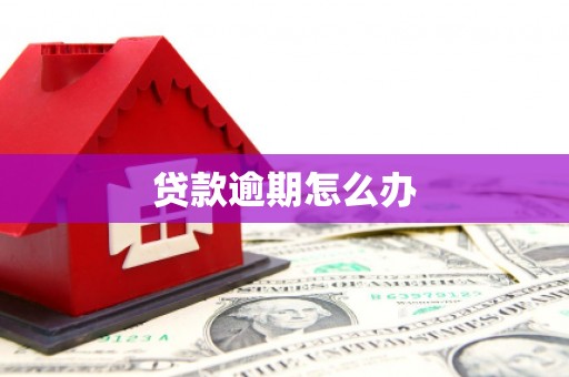 九寨沟贷款逾期怎么办