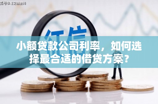 九寨沟小额贷款公司利率，如何选择最合适的借贷方案？