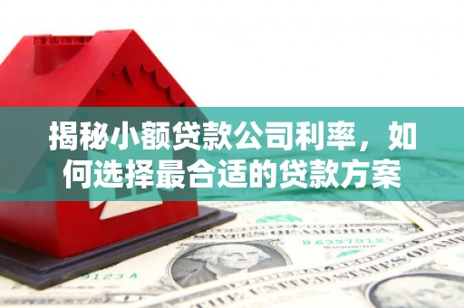 九寨沟揭秘小额贷款公司利率，如何选择最合适的贷款方案