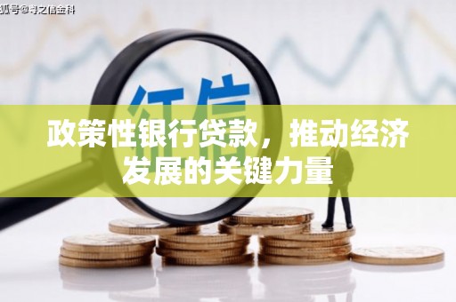 九寨沟政策性银行贷款，推动经济发展的关键力量