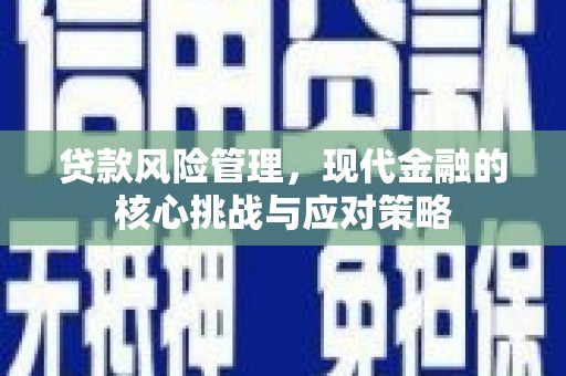 九寨沟贷款风险管理，现代金融的核心挑战与应对策略