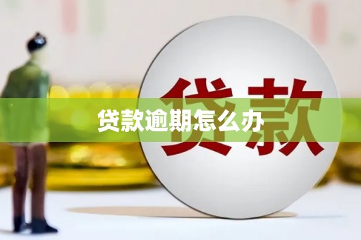 九寨沟贷款逾期怎么办