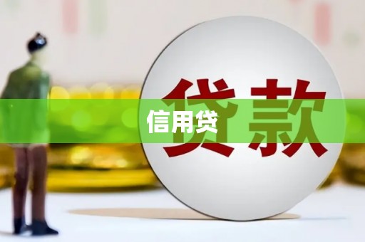 九寨沟信用贷
