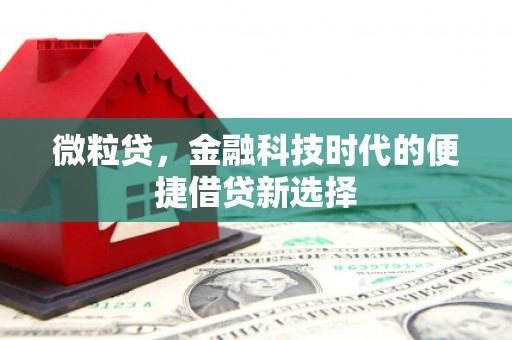九寨沟微粒贷，金融科技时代的便捷借贷新选择
