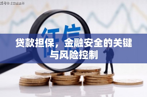 九寨沟贷款担保，金融安全的关键与风险控制