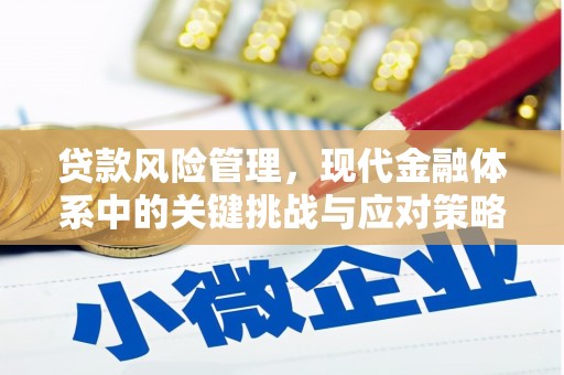 九寨沟贷款风险管理，现代金融体系中的关键挑战与应对策略