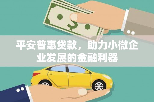 九寨沟平安普惠贷款，助力小微企业发展的金融利器